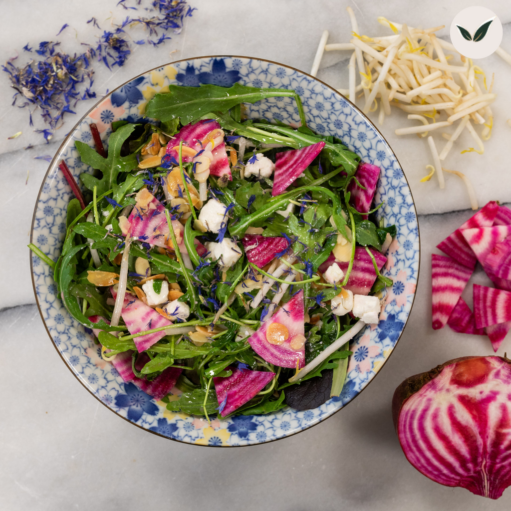Salade de betteraves chioggia aux pousses d'épinards et à la feta